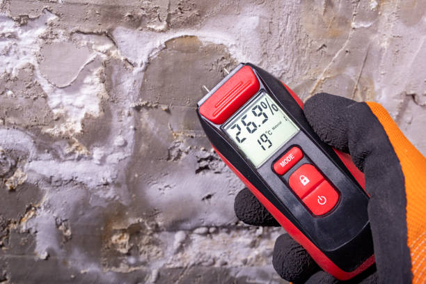 Water Damage Restoration in Albany, LA