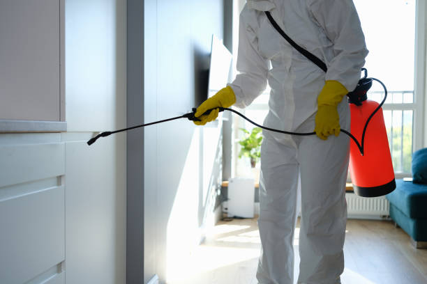 Best Attic Mold Removal  in Albany, LA