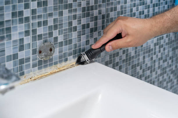 Best Affordable Mold Removal  in Albany, LA